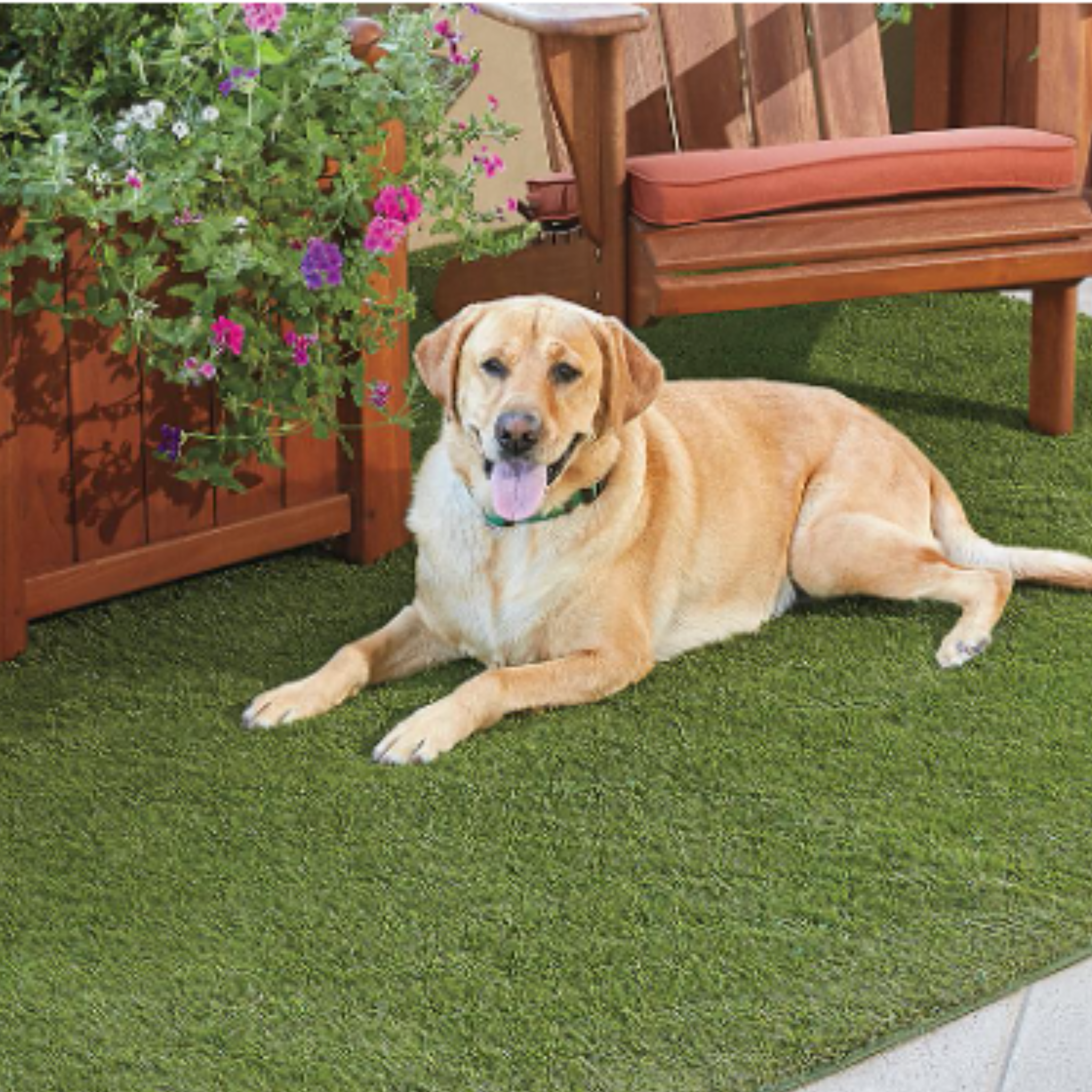 Artificial Grass Mats – 1½" Thick – Available in 3' x 5', 5' x 8', and 7' x 10'