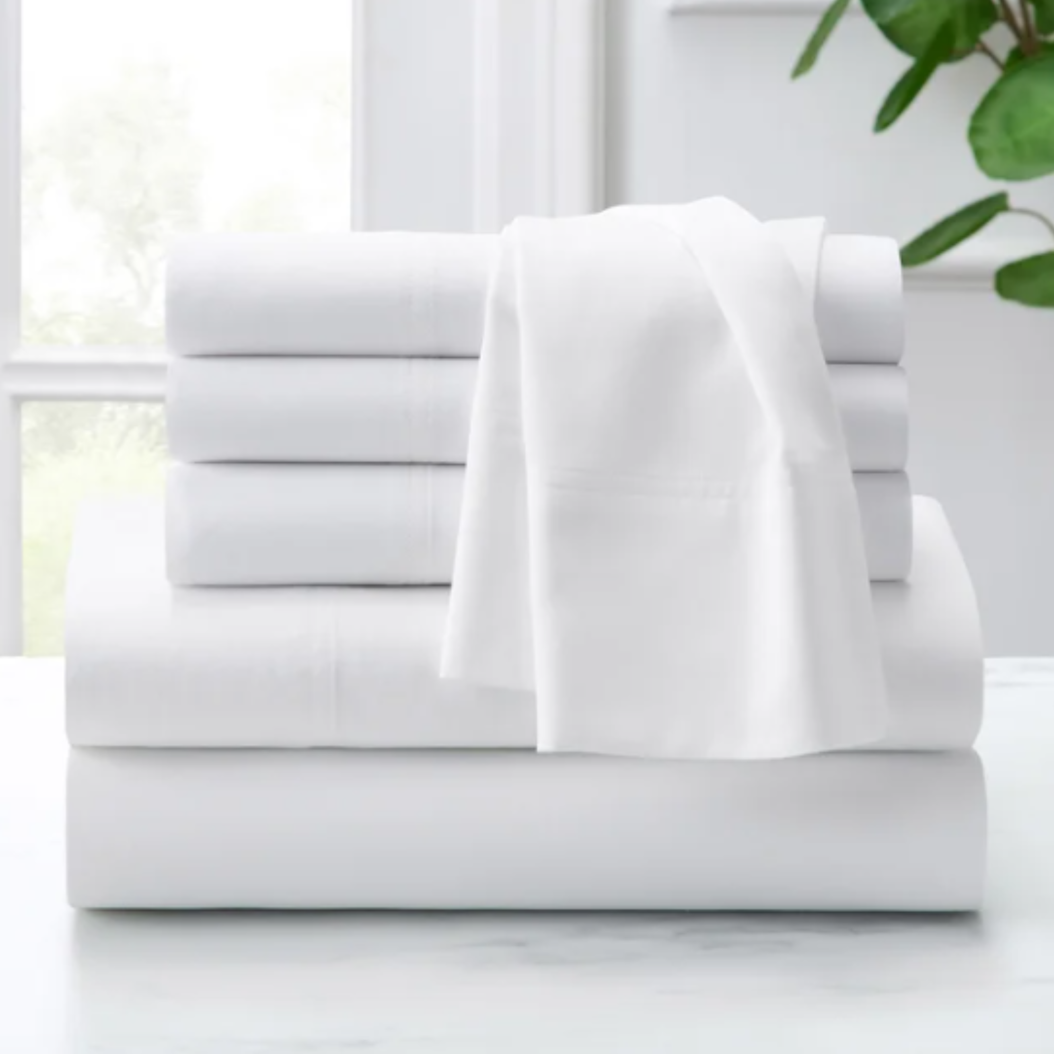 Purely Organic® 6-Piece Organic Cotton Sheet Set