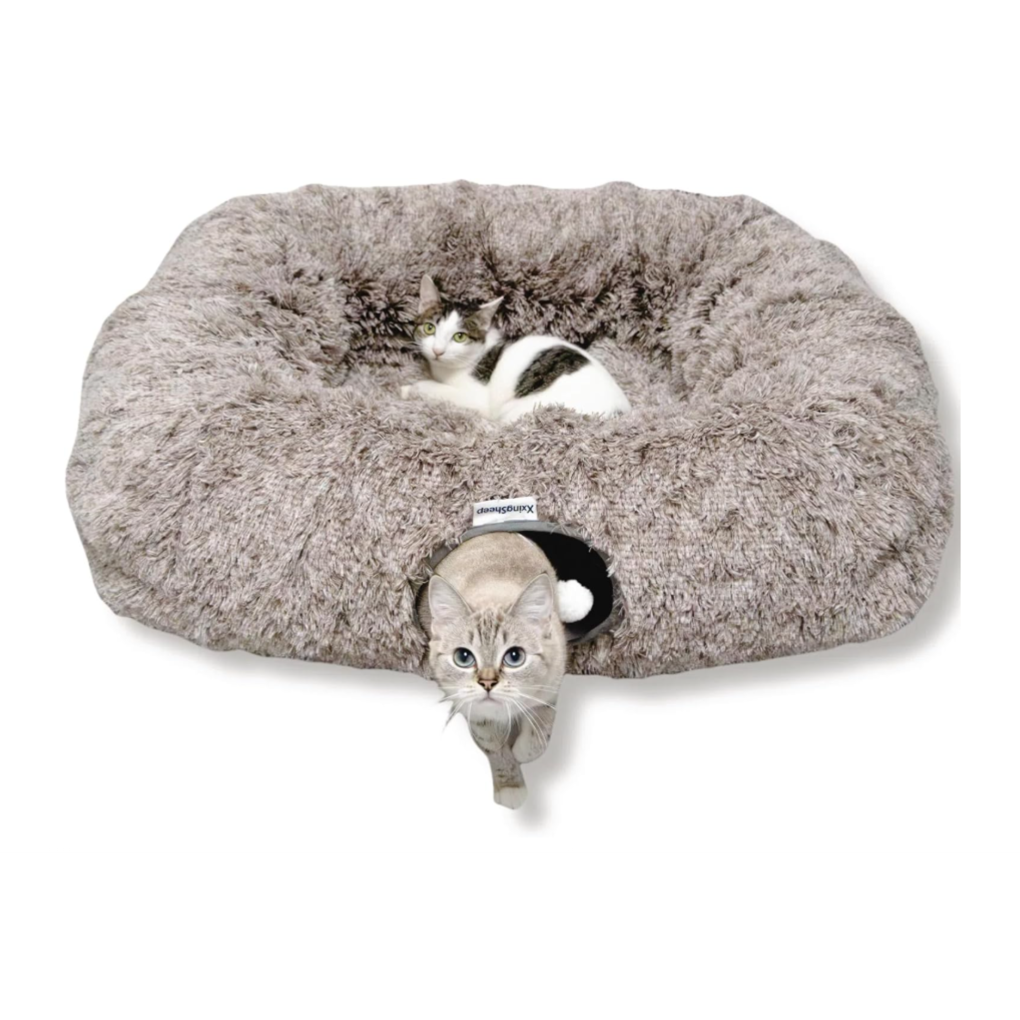 Percost™ XL Cat Tunnel Bed & Cozy Hideaway – Yellow-Brown-10 PC